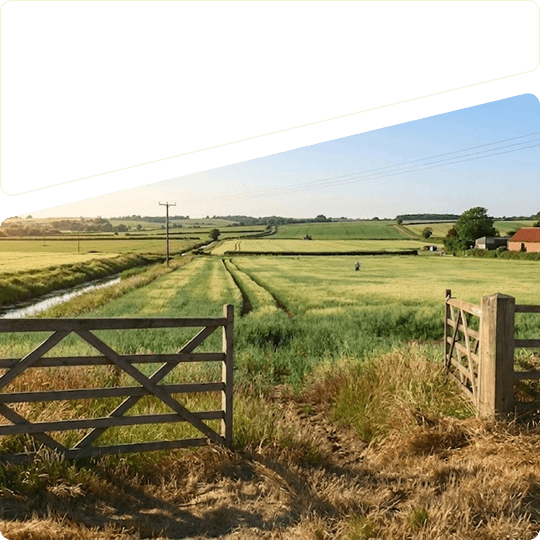 Nice field