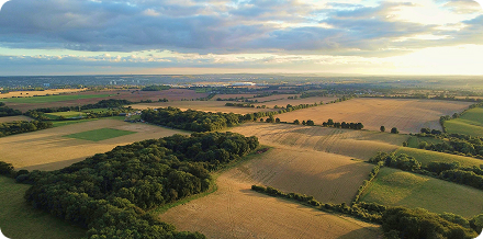 Rolling hills